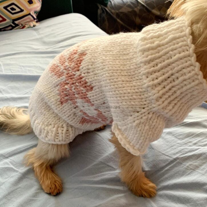 BeautyPlus_20221129122718657_save