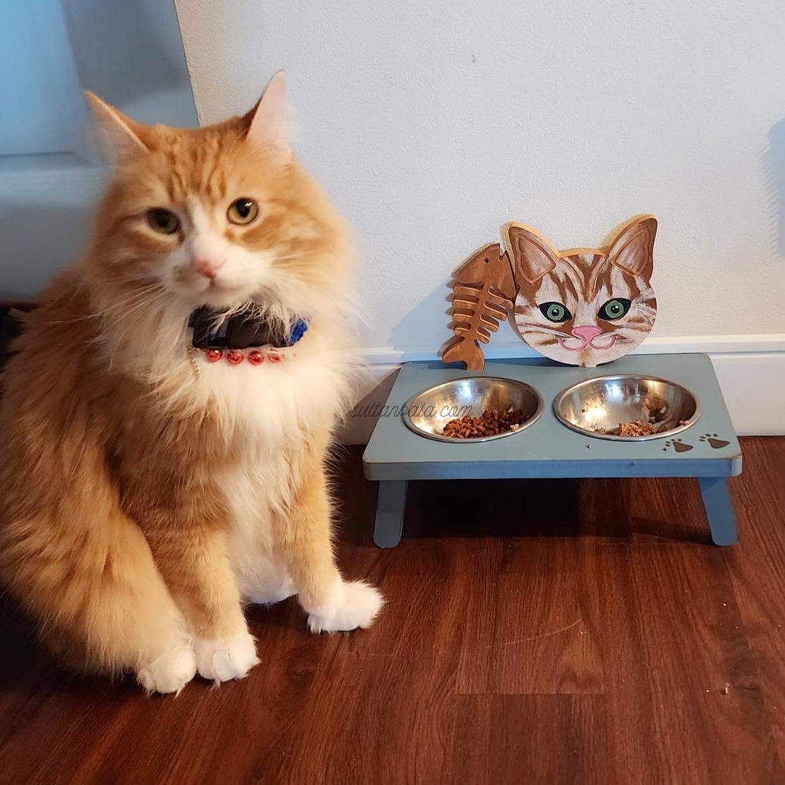 BeautyPlus_20221226131214294_save